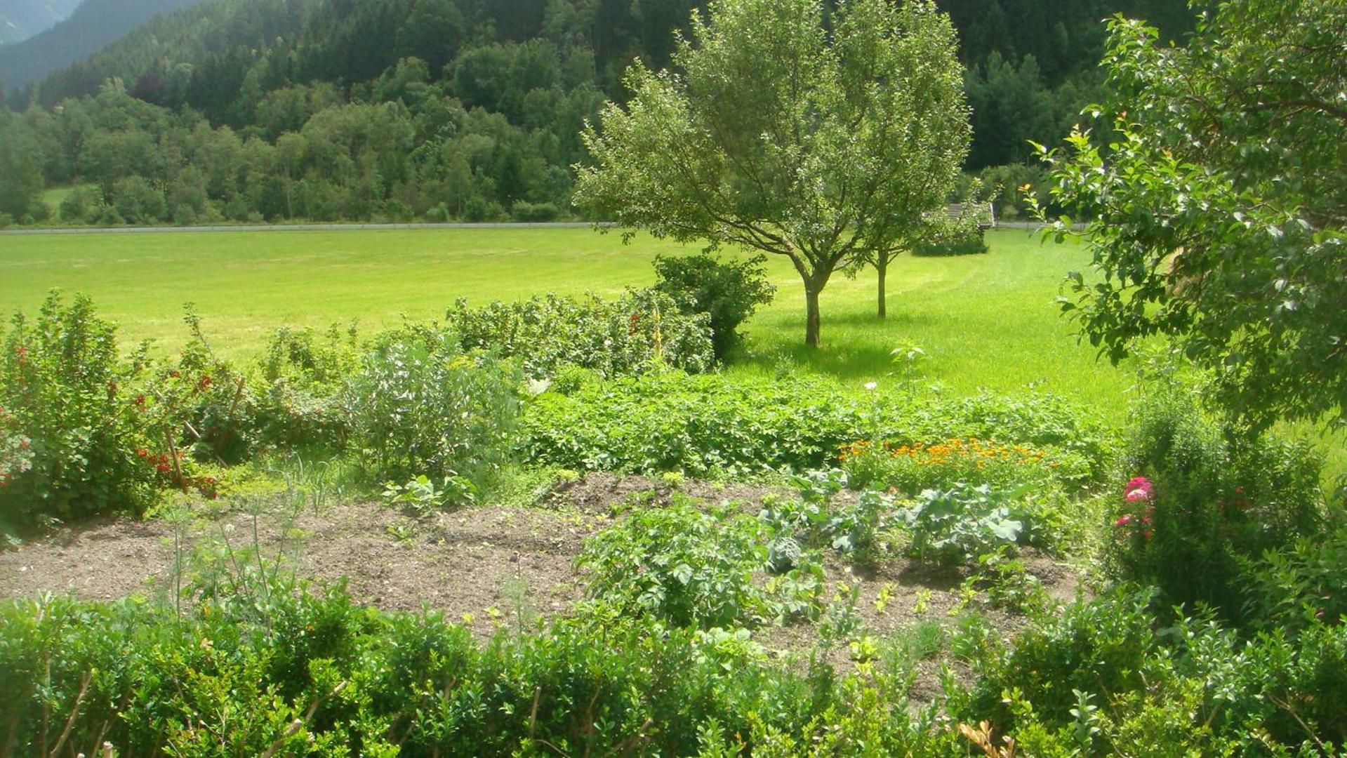 Bio-Bauernhof Obertrattenbachhof Neukirchen am Großvenediger Eksteriør billede