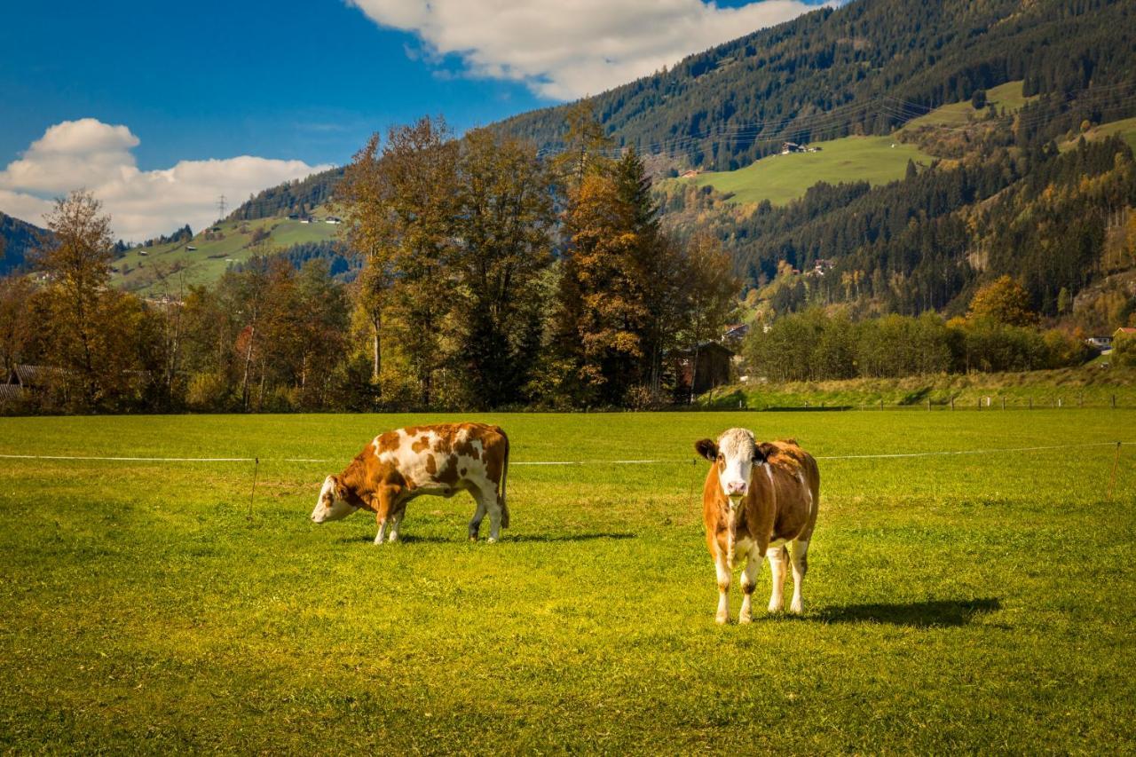 Bio-Bauernhof Obertrattenbachhof Neukirchen am Großvenediger Eksteriør billede